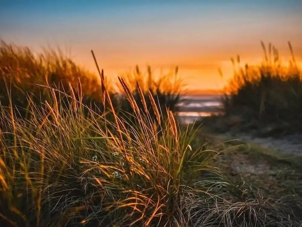 Beach & Waterfront