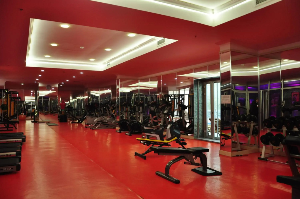 Eser Diamond Hotel & Convention Center İstanbul - фото 25