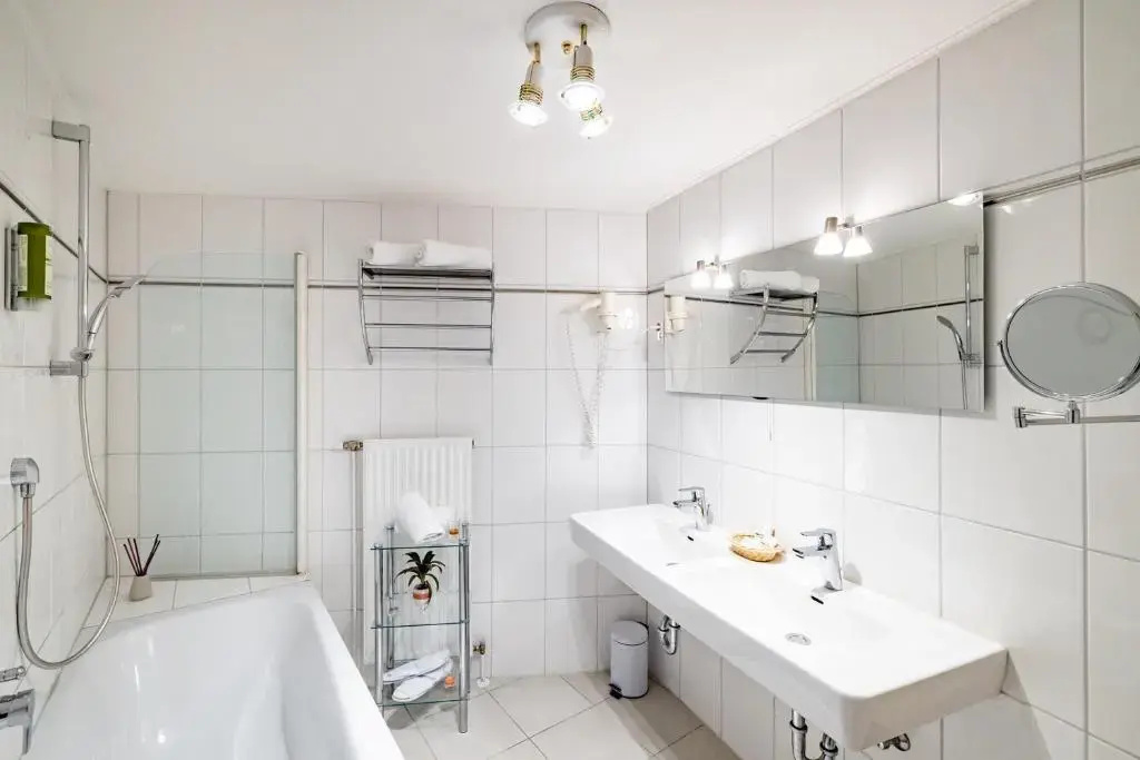 Business Double room (full double bed)