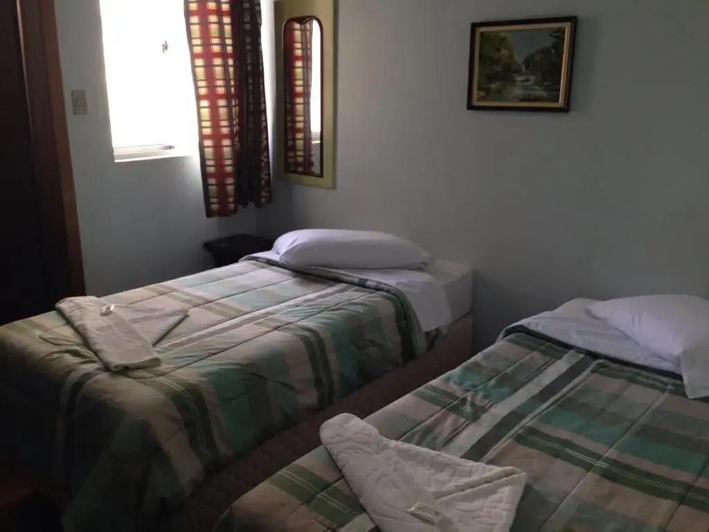 Deluxe Double room (twin beds)