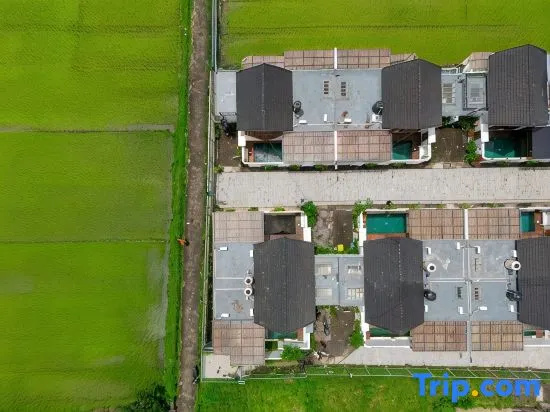 Stylish 2BR Villa near Central Ubud