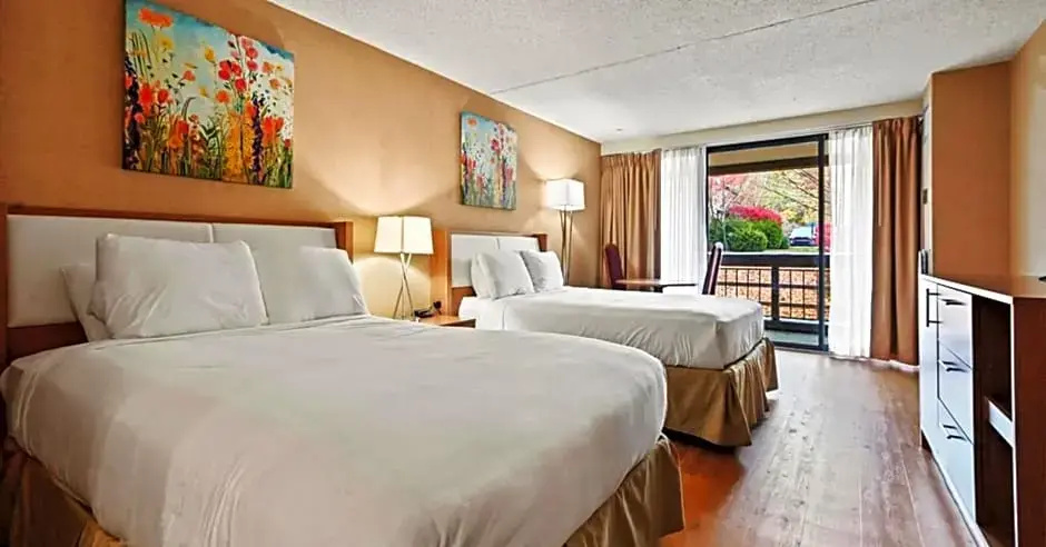 Standard Single room with mountain view