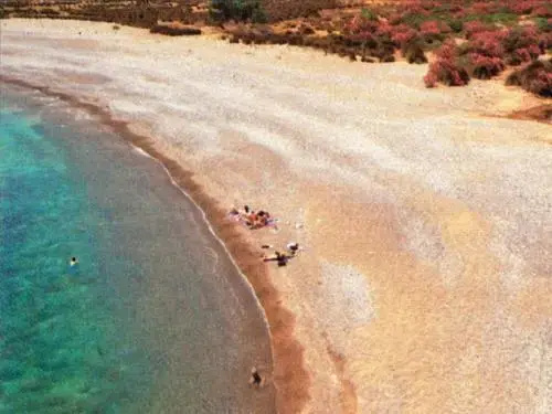 Beach & Waterfront