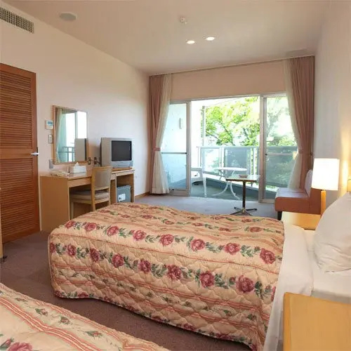 Standard Double room (twin beds)