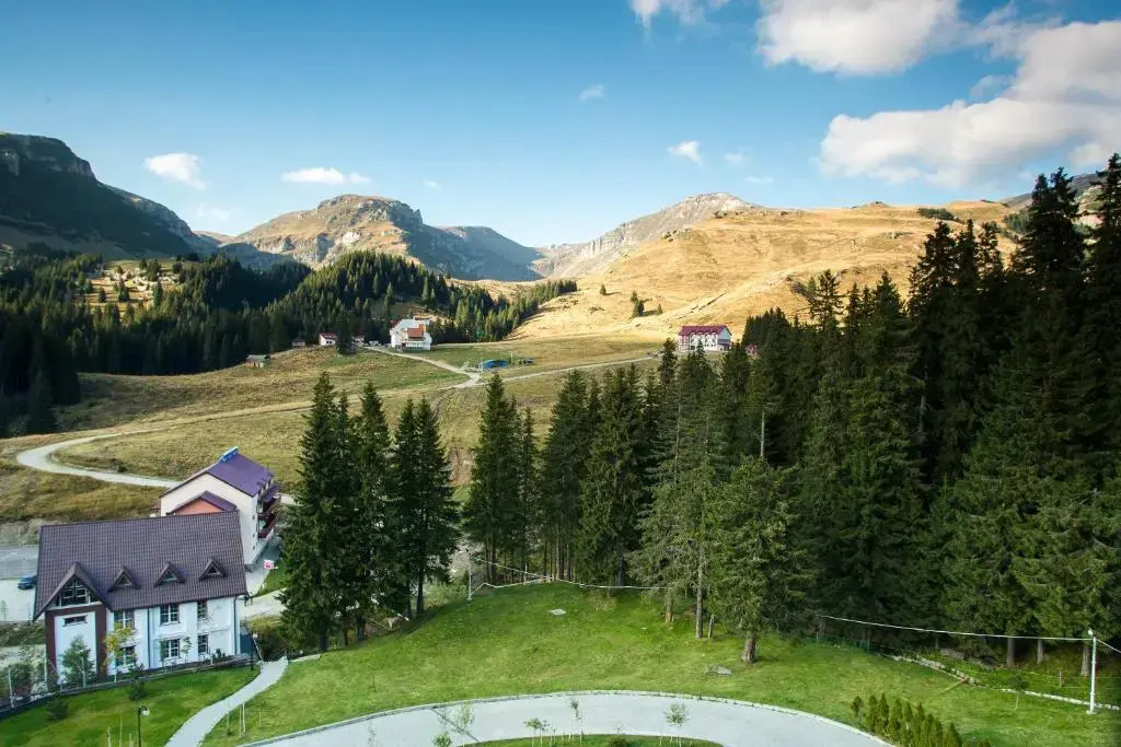 Executive Double room with mountain view (full double bed)