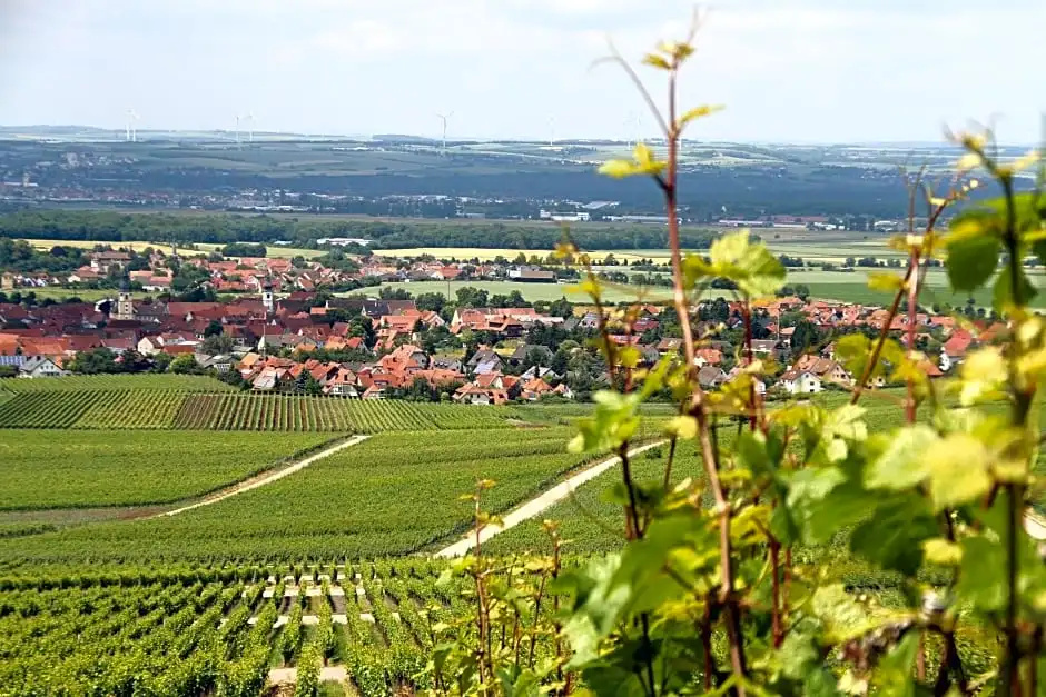 Gasthof zum Rödelseer Schwan
