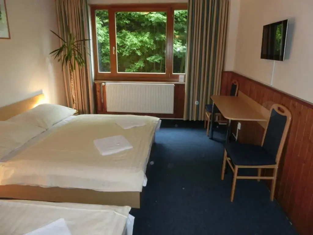 Parkhotel Harrachov - Chambres