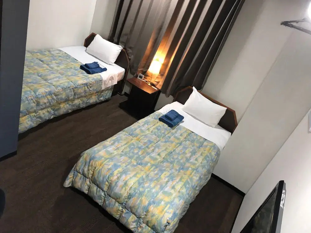 Standard Double room (twin beds)