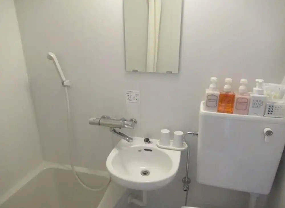 Economy Double room (full double bed)