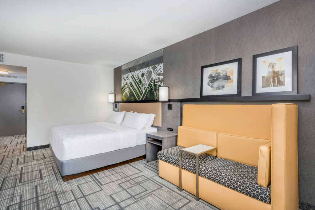 Holiday Inn Lafayette-City Centre by IHG - Général