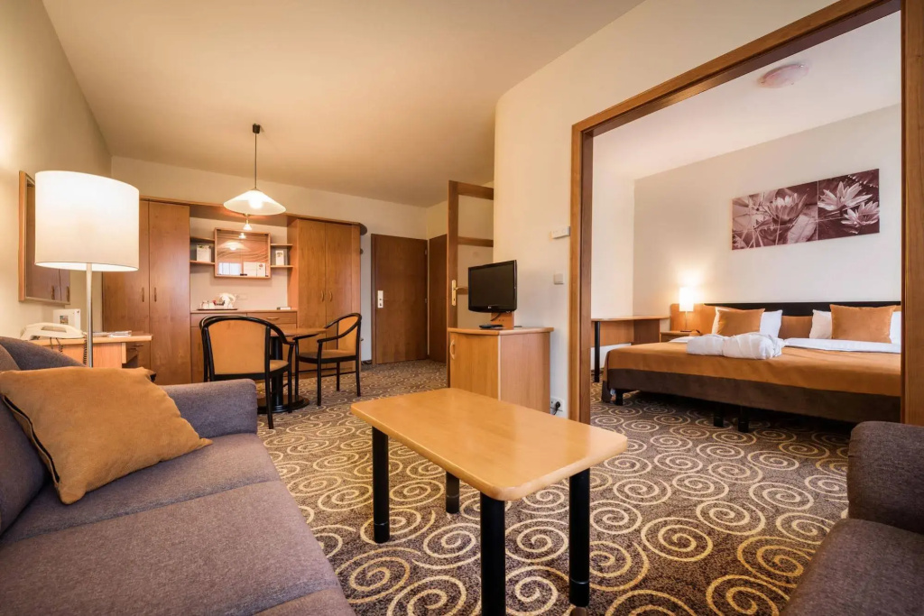 Hotel Európa Fit - Général