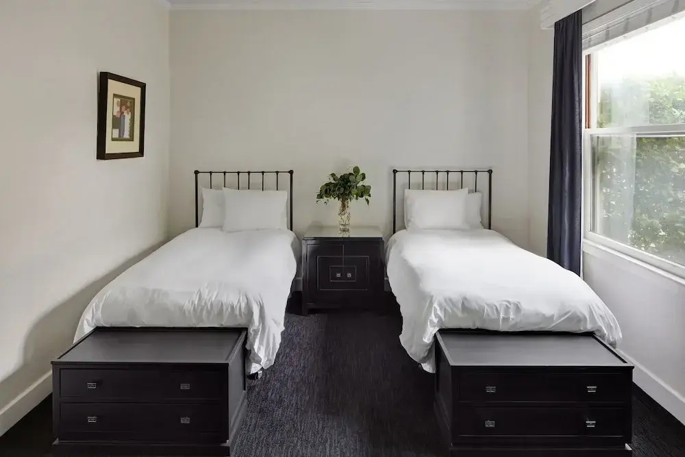 Deluxe Double room (twin beds)