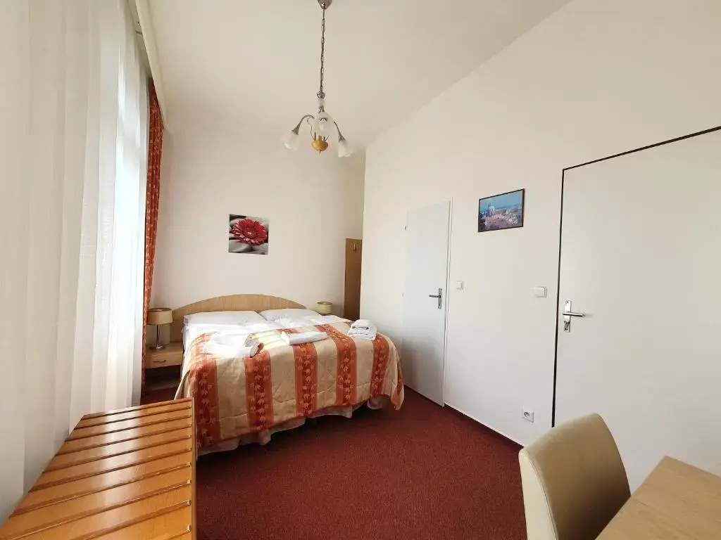 Standard Double room (full double bed)