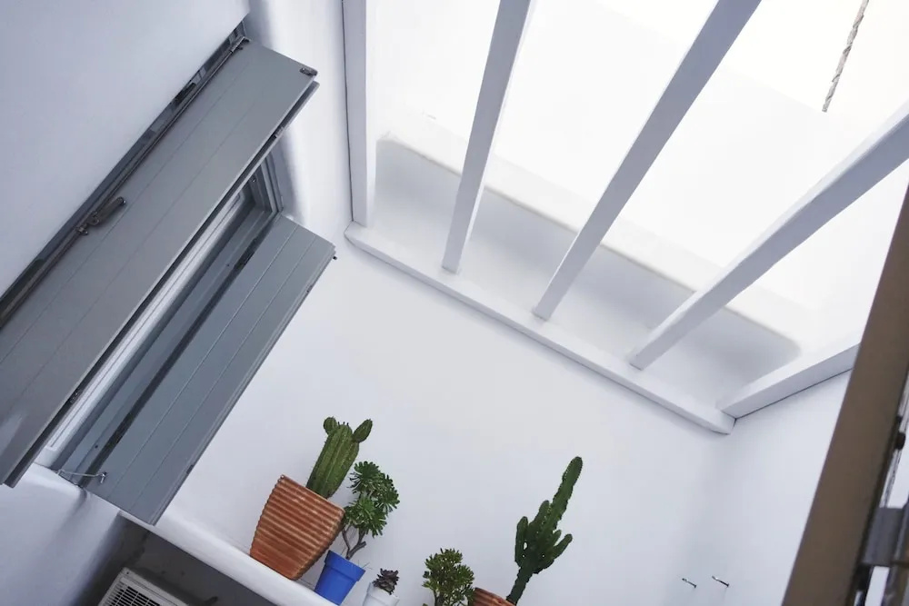 Ficus Villa Mykonos