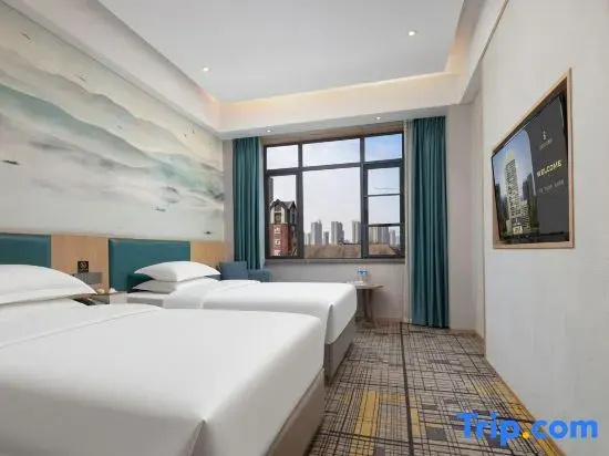 Standard Double room with city view (full double bed)