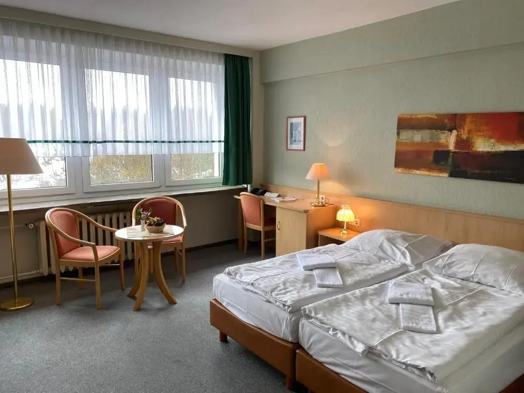 Standard Double room with mountain view (full double bed)