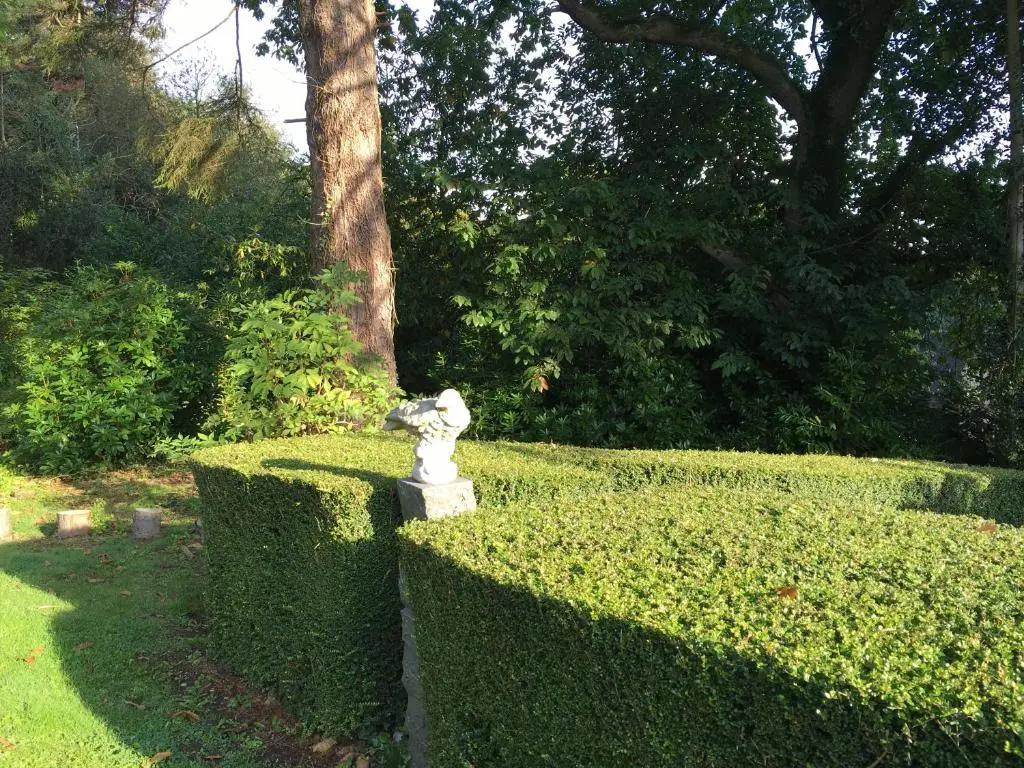 Afficher la photo 8 — Chateau de Beaulieu
