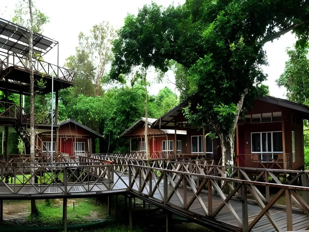 Borneo Nature Lodge