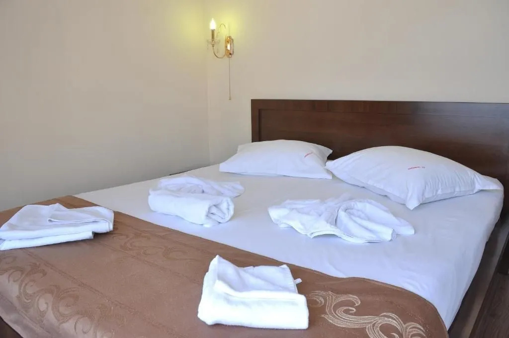 Ave Hotel Victoriei - Général