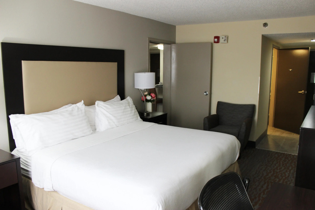 Holiday Inn Atlanta-Northlake by IHG - Général