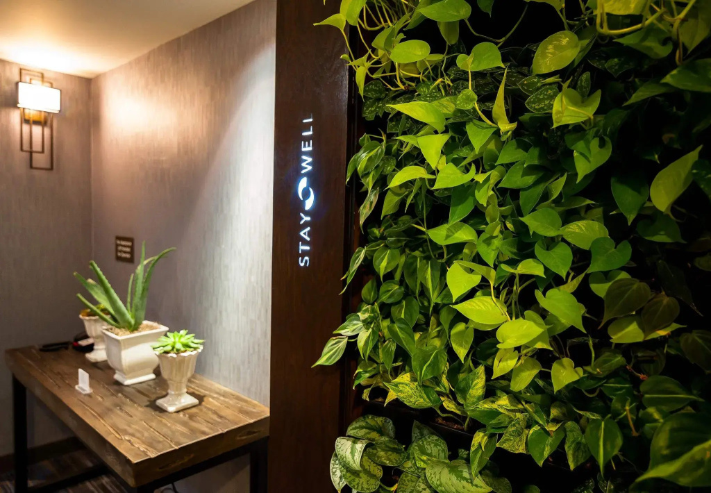 Hotel photo 8