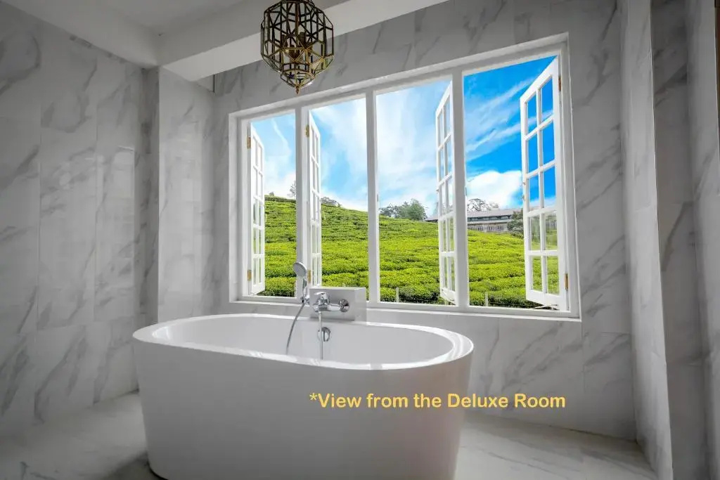 Deluxe Family room