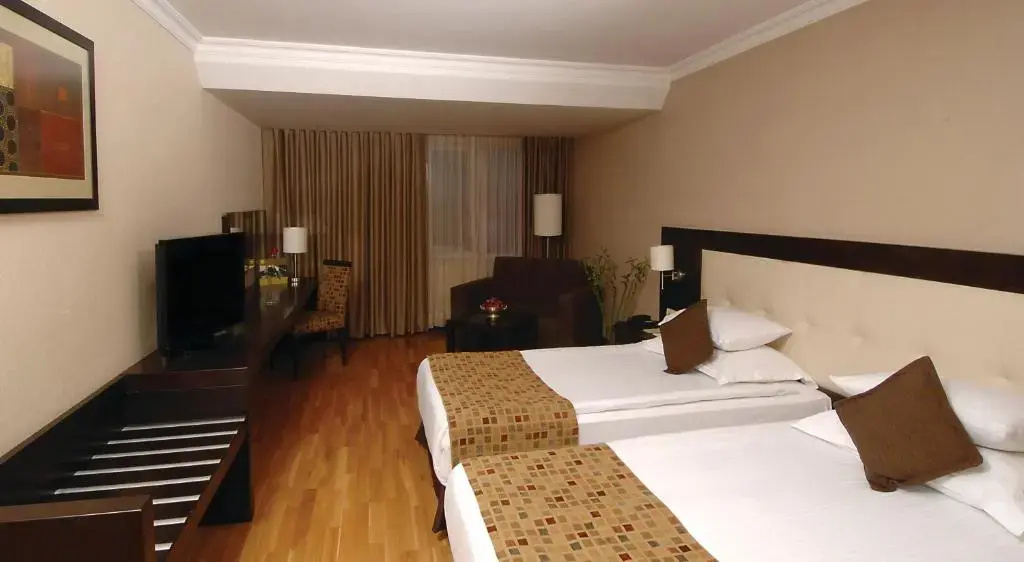 Standard Double room (twin beds)