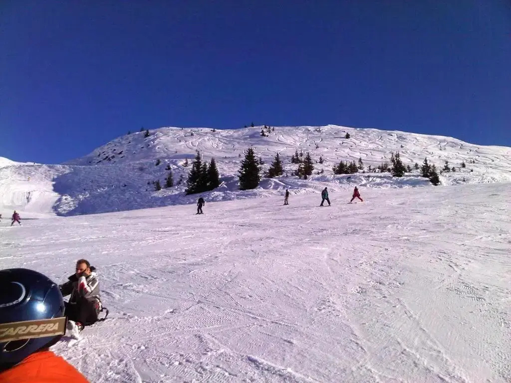 Afficher la photo 8 — Chalet de 3 chambres avec jardin amenage et wifi a Champagny en Vanoise a 1 km des pistes