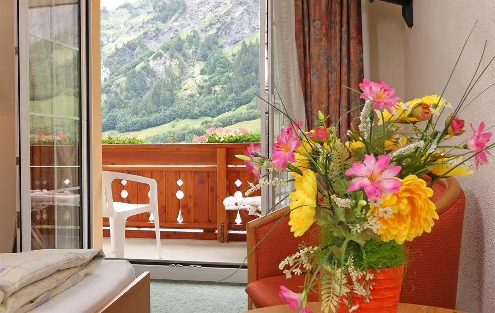 Balcony & Terrace