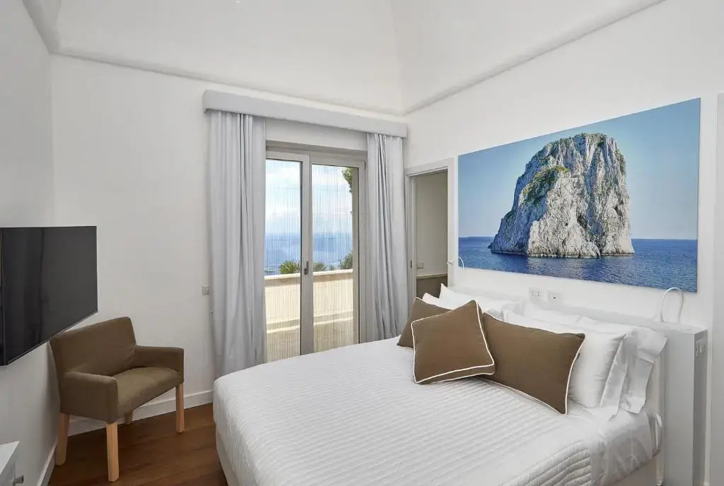 Deluxe Double room with balcony and with sea view (full double bed)