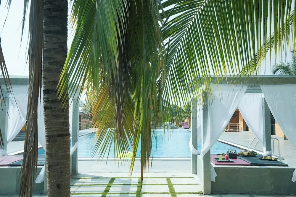 Brahmi Wellness Retreat & Spa - фото 19