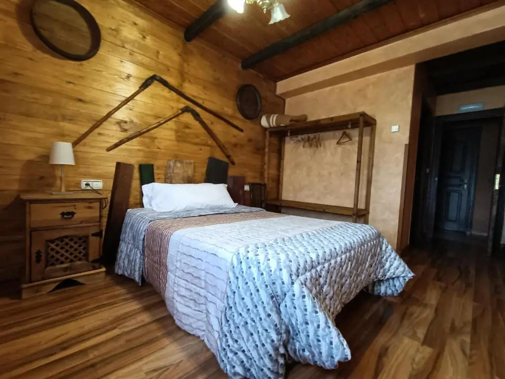 Standard Double room (full double bed)