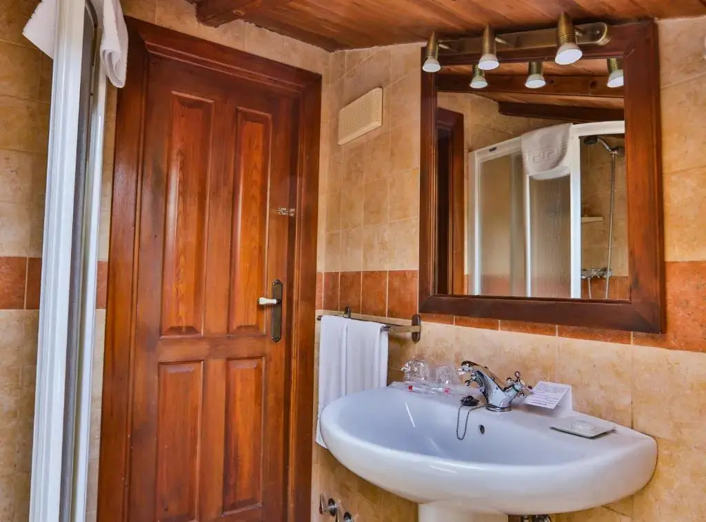 Standard Double Attic room (twin beds)