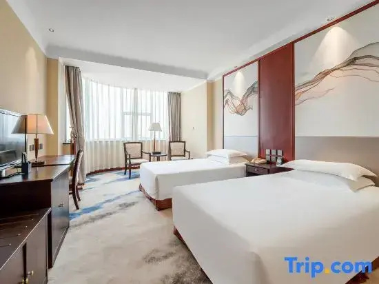 Standard Double room with city view (twin beds)