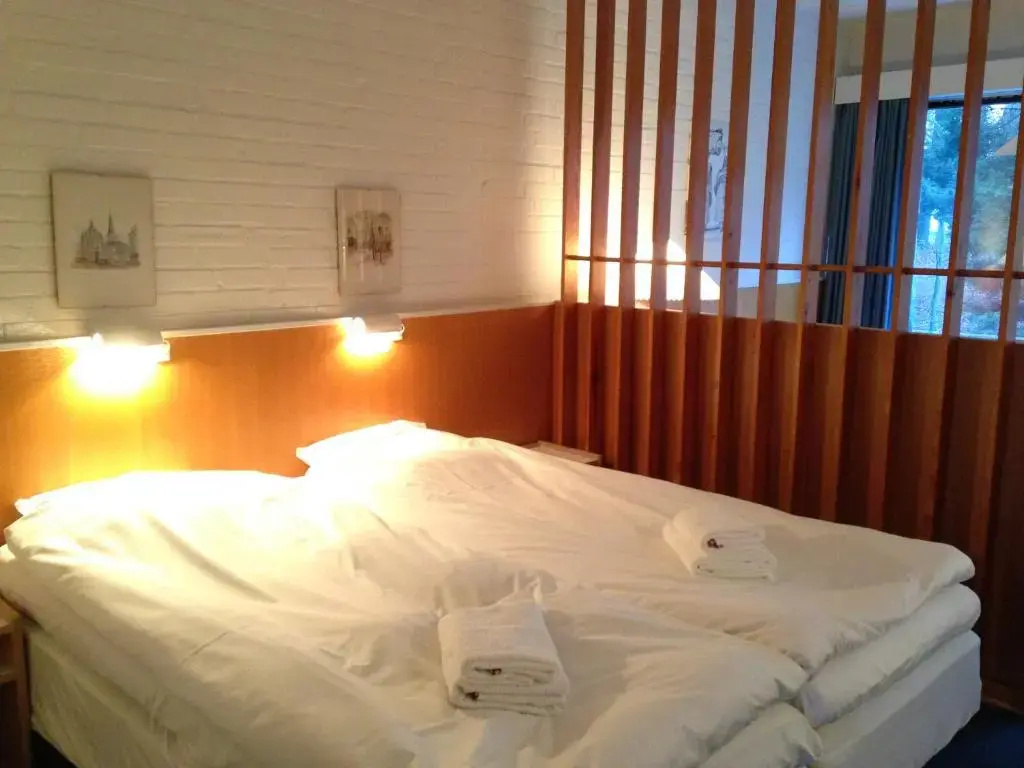 Superior Double Basement room with garden view (full double bed)