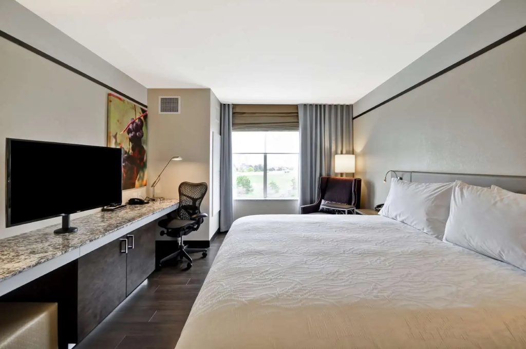 Hilton Garden Inn Detroit Troy - Chambres