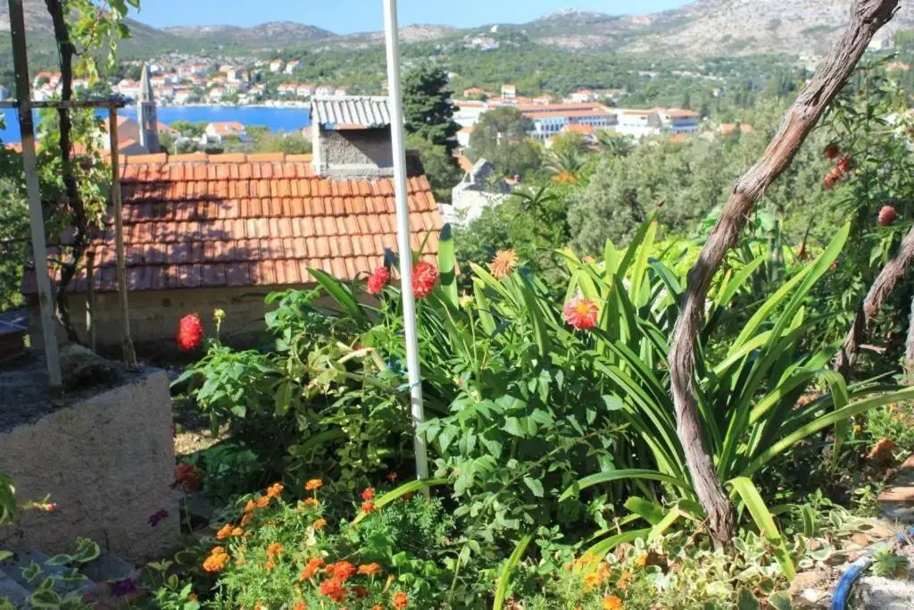 Apartments with a parking space Slano, Dubrovnik - 8540 - фото 7