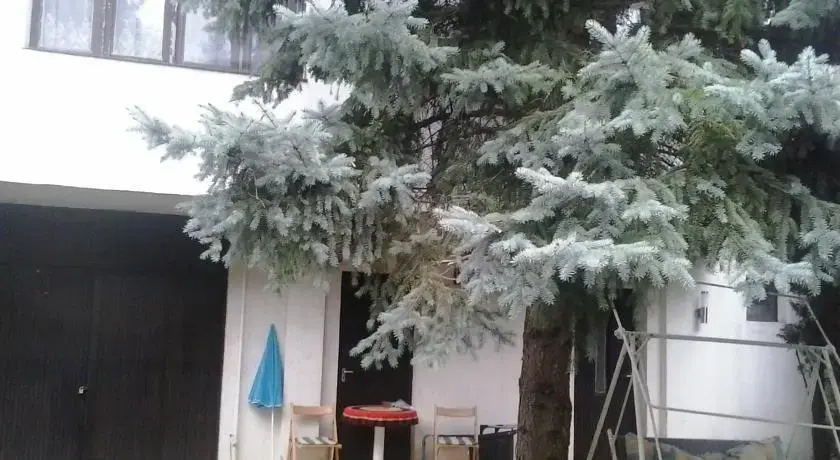 Ibolya-ház - фото 9