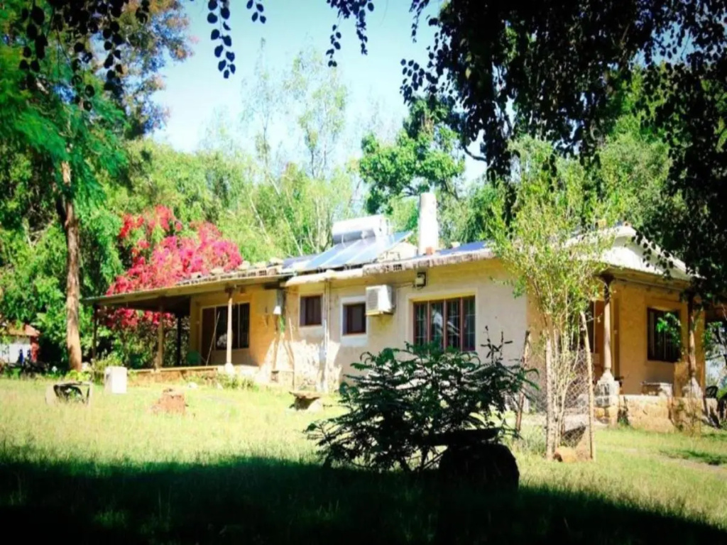 Jungle Hut Resorts - Général