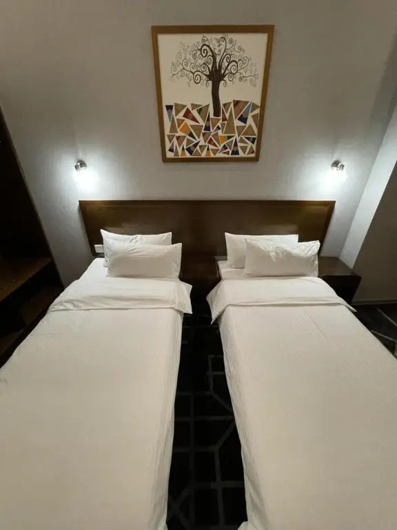 Standard Double room with garden view (twin beds)