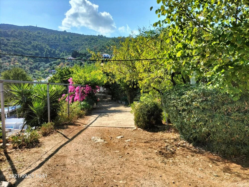 Image 12