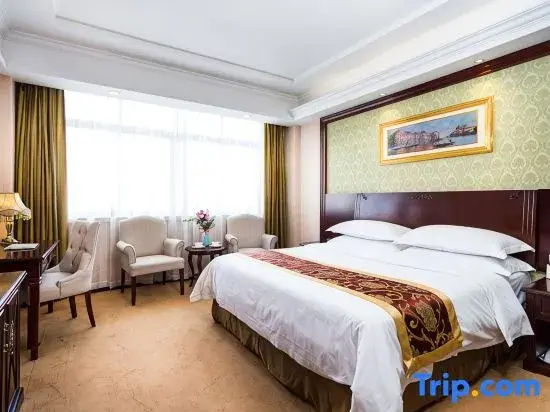 Vienna Hotel Shanghai Puong Jinqiao Park - Chambres