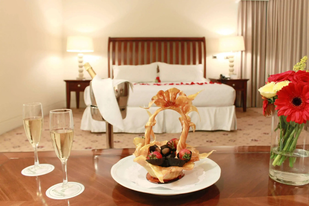 Hotel Torremayor Lyon - Général