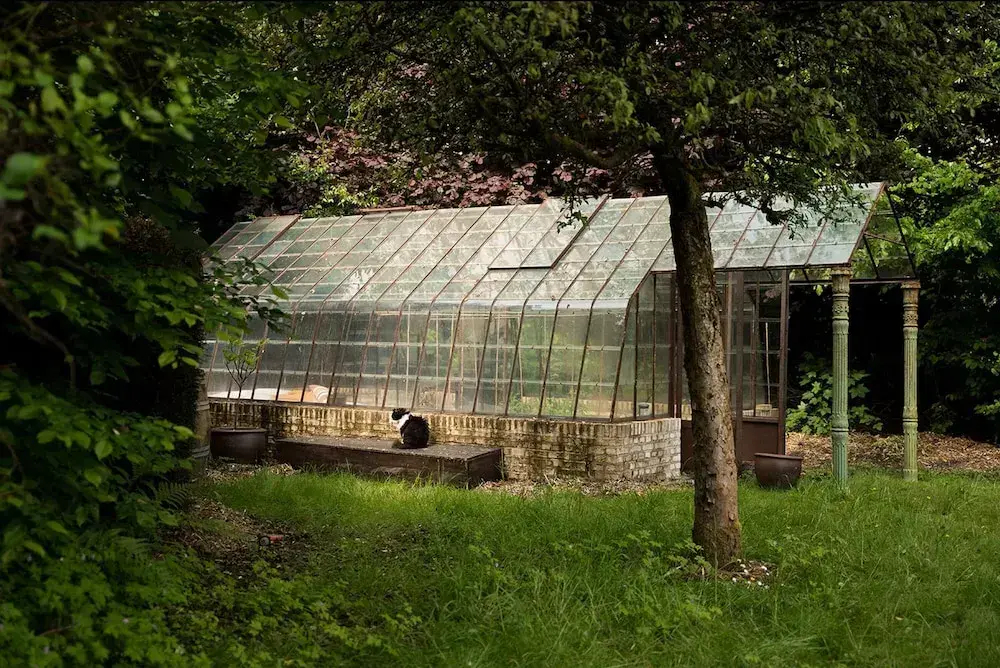 La Petite For t Antique Countryside Greenhouse - фото 12