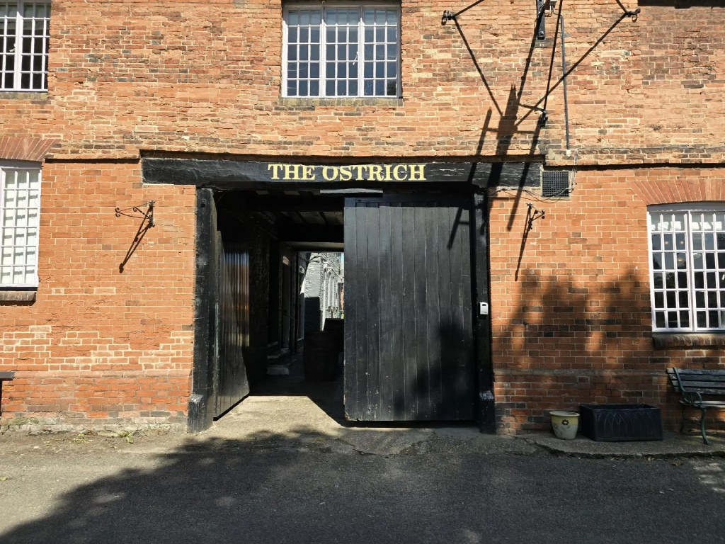 The Ostrich