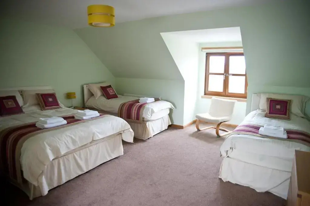 Standard Family room