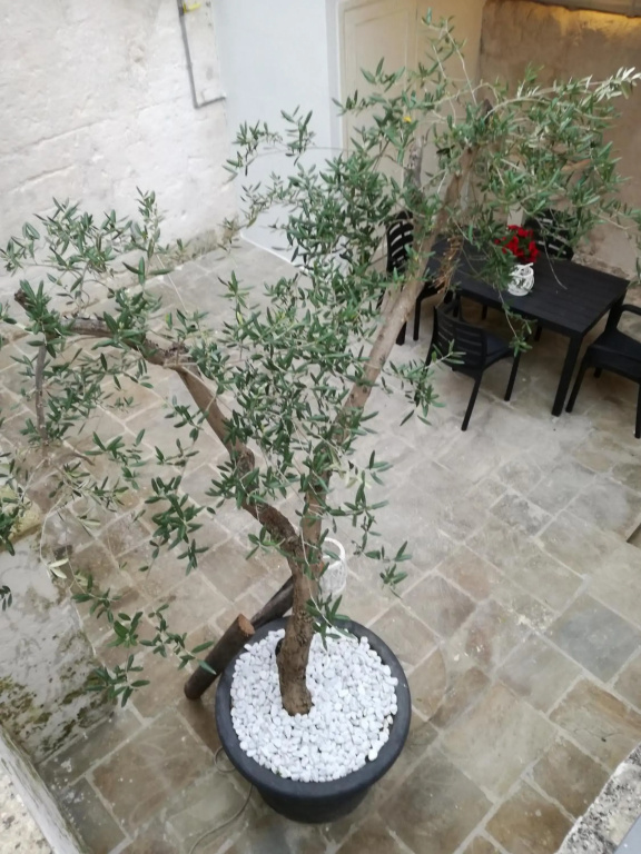 Hotel photo 43