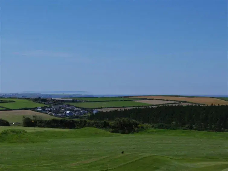 Golfer View