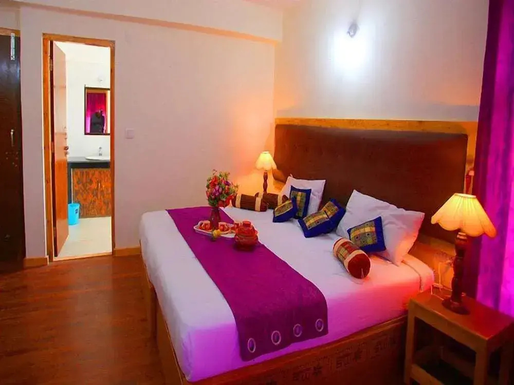 Hotel Himalaya Villa - Général