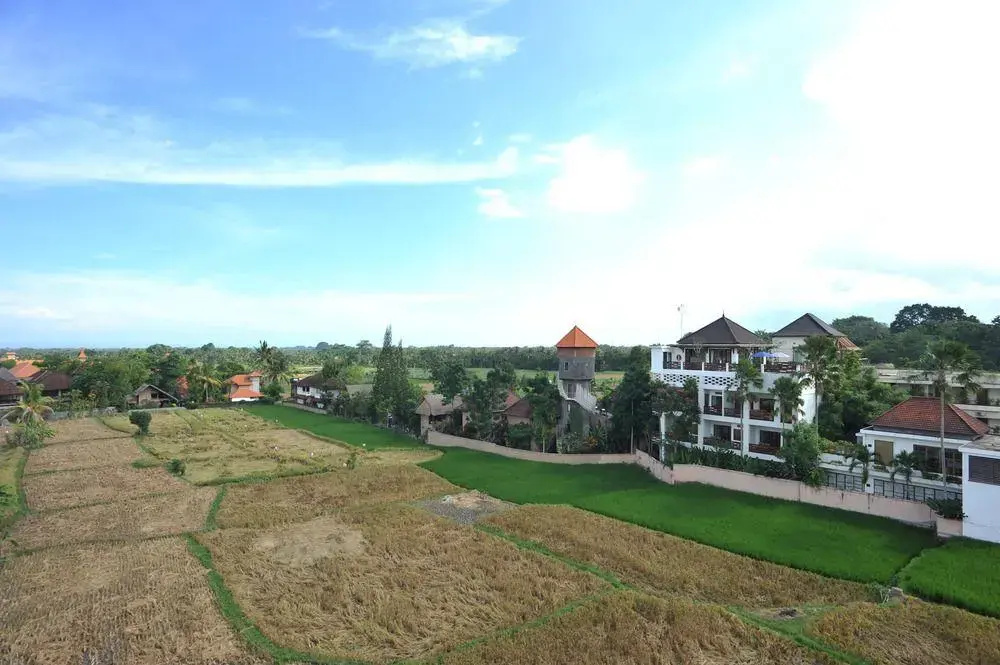 Airy Premier Ubud Simpang Hanoman Monkey Forest Bali